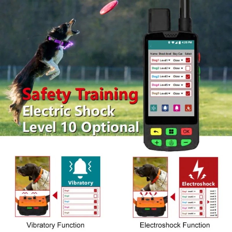 Collar para perros GPS 4G con  - Pet Supplies Locations reseña y precio