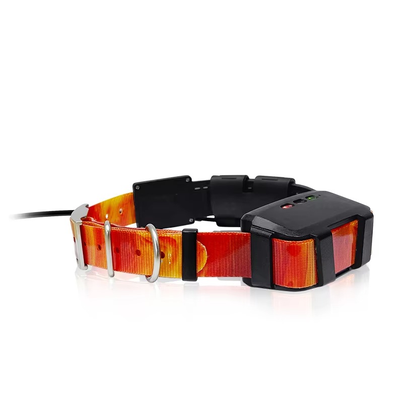 Collar con Rastreador GPS para - Pet Supplies Locations reseña y precio