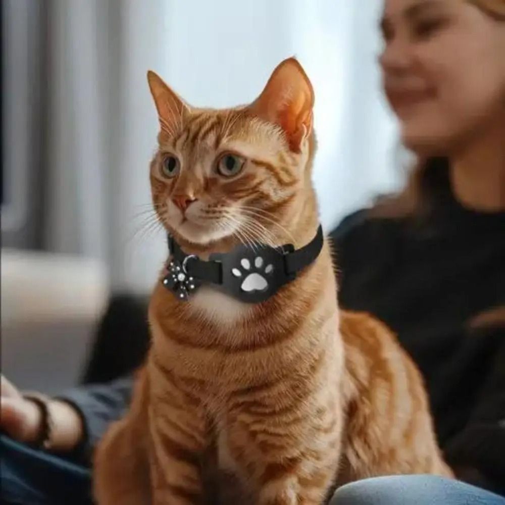 NUEVO Collar Reflectante para  - Pet Supplies Locations reseña y precio