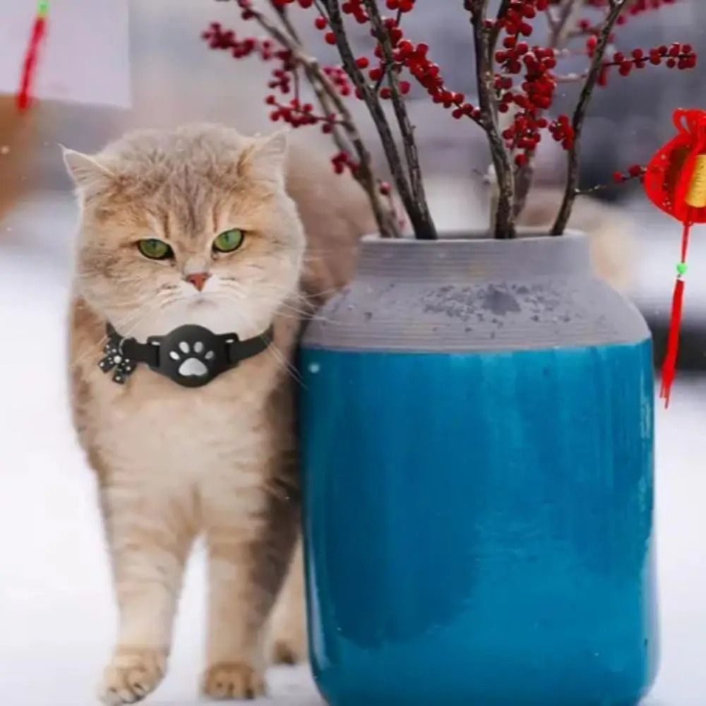 NUEVO Collar Reflectante para  - Pet Supplies Locations reseña y precio