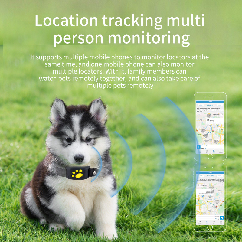 Rastreador GPS para mascotas,  - Pet Supplies Locations reseña y precio