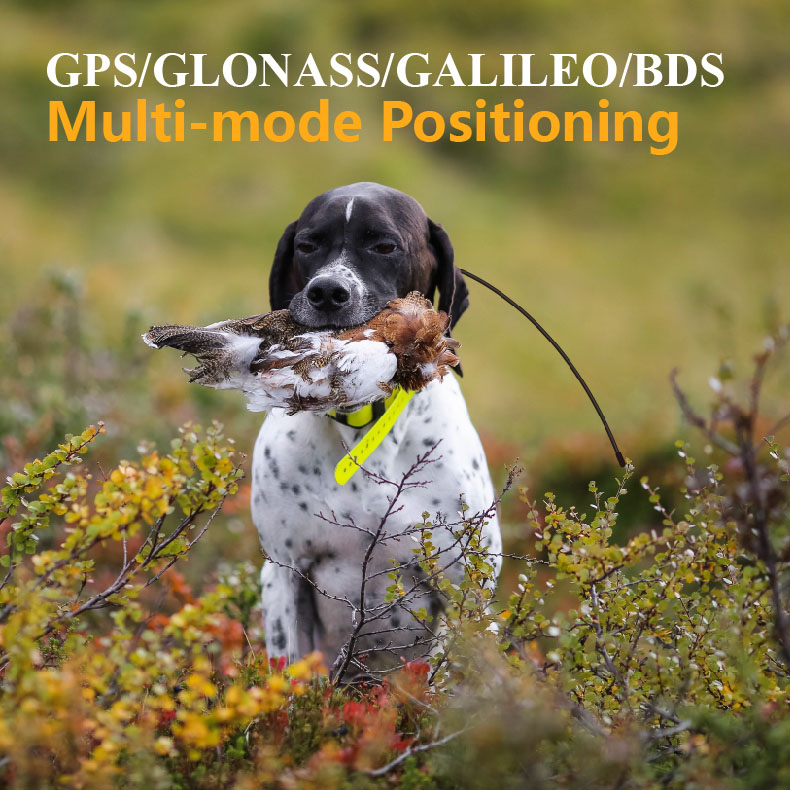 Rastreador GPS Global para Mas - Pet Supplies Locations reseña y precio