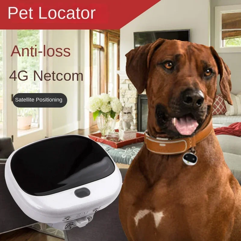 Mini Localizador GPS 4G LTE 2G - Pet Supplies Locations reseña y precio